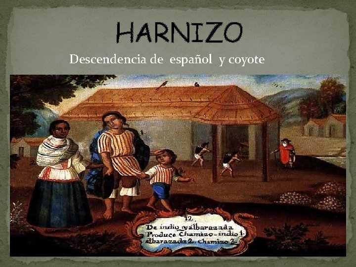 HARNIZO Descendencia de español y coyote 