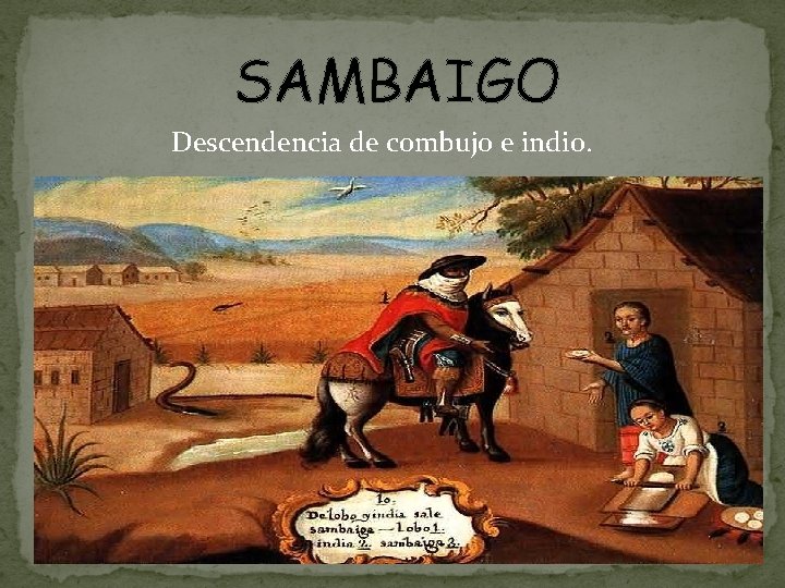 SAMBAIGO Descendencia de combujo e indio. 