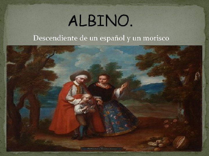 ALBINO. Descendiente de un español y un morisco 