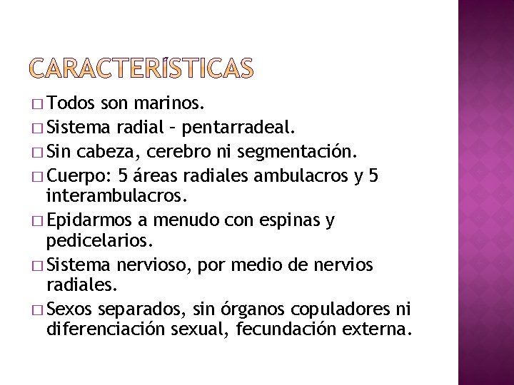 � Todos son marinos. � Sistema radial – pentarradeal. � Sin cabeza, cerebro ni