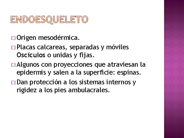 � Origen mesodérmica. � Placas calcareas, separadas y móviles Oscículos o unidas y fijas.