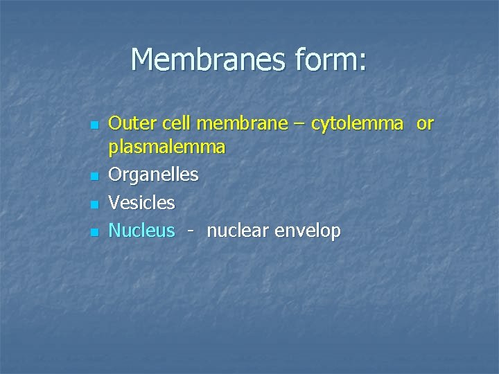 Membranes form: n n Outer cell membrane – cytolemma or plasmalemma Organelles Vesicles Nucleus