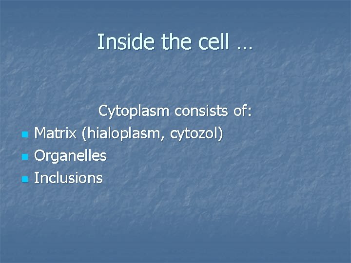 Inside the cell … n n n Cytoplasm consists of: Matrix (hialoplasm, cytozol) Organelles