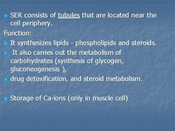 SER consists of tubules that are located near the cell periphery. Function: n It