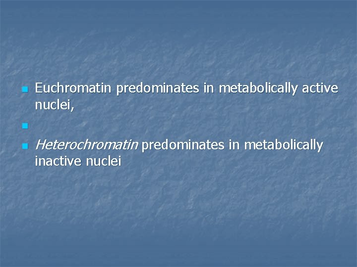 n Euchromatin predominates in metabolically active nuclei, n n Heterochromatin predominates in metabolically inactive