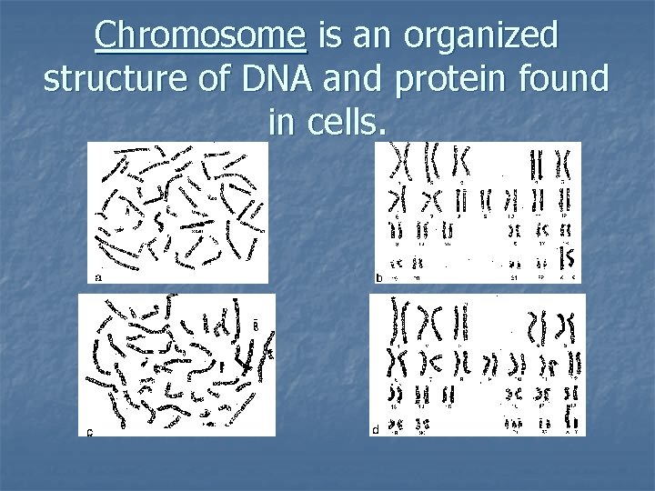 Chromosome is an organized structure of DNA and protein found in cells. 