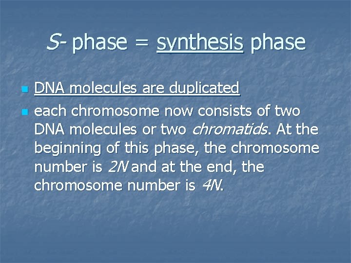 S- phase = synthesis phase n n DNA molecules are duplicated each chromosome now