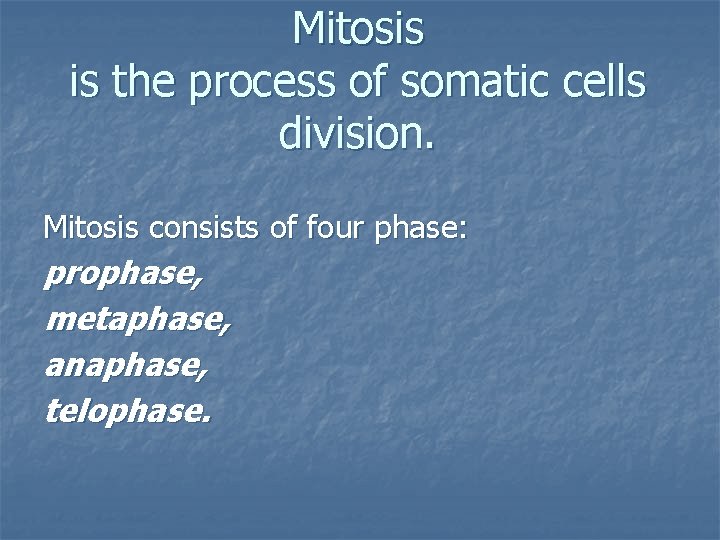 Mitosis is the process of somatic cells division. Mitosis consists of four phase: prophase,