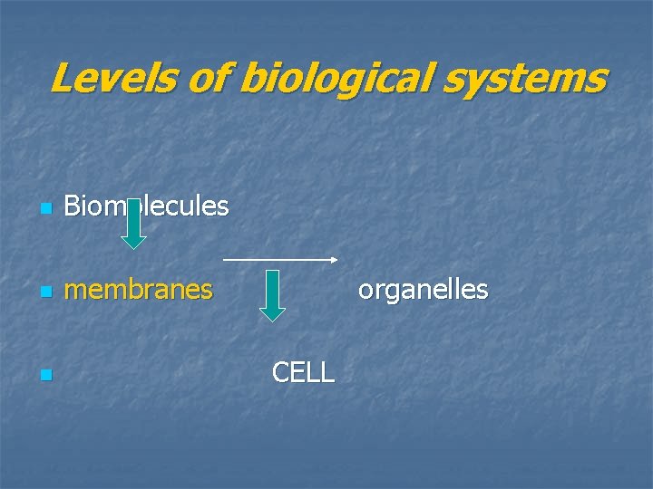 Levels of biological systems n Biomolecules n membranes n organelles CELL 