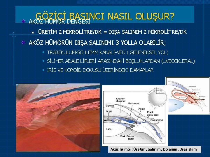 GÖZİÇİ BASINCI NASIL OLUŞUR? AKÖZ HÜMÖR DENGESİ n ÜRETİM 2 MİKROLİTRE/DK = DIŞA SALINIM