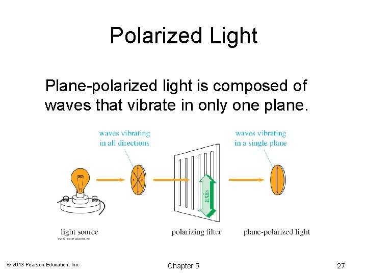 Polarized Light Plane-polarized light is composed of waves that vibrate in only one plane.