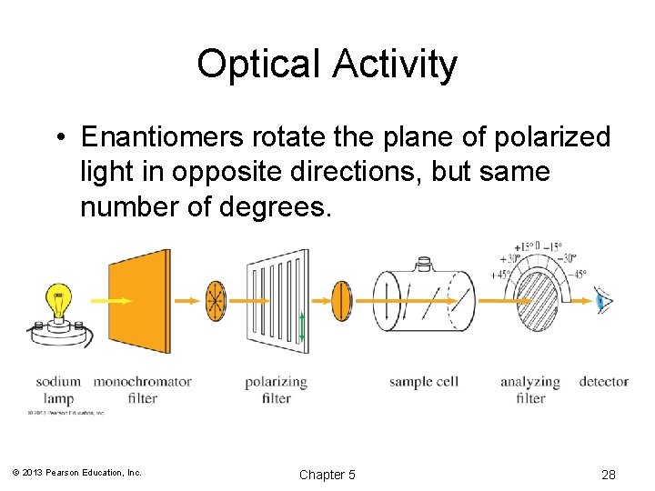 Optical Activity • Enantiomers rotate the plane of polarized light in opposite directions, but