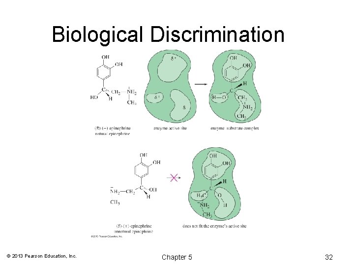 Biological Discrimination © 2013 Pearson Education, Inc. Chapter 5 32 