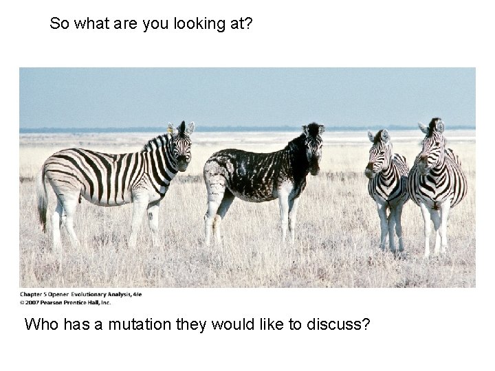 So what are you looking at? Who has a mutation they would like to So what are you looking at? Who has a mutation they would like to