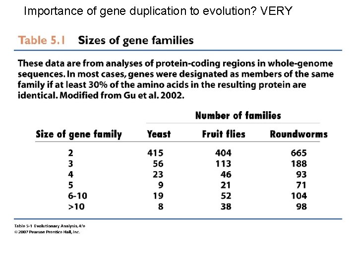 Importance of gene duplication to evolution? VERY Importance of gene duplication to evolution? VERY