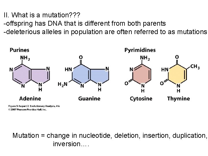 II. What is a mutation? ? ? -offspring has DNA that is different from II. What is a mutation? ? ? -offspring has DNA that is different from