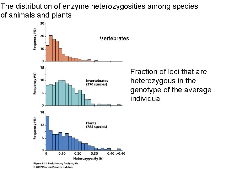 The distribution of enzyme heterozygosities among species of animals and plants Vertebrates Fraction of The distribution of enzyme heterozygosities among species of animals and plants Vertebrates Fraction of