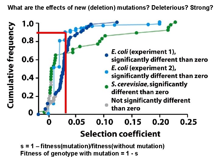 What are the effects of new (deletion) mutations? Deleterious? Strong? s = 1 – What are the effects of new (deletion) mutations? Deleterious? Strong? s = 1 –