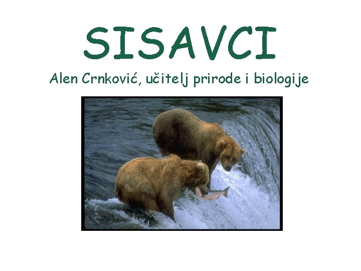 SISAVCI Alen Crnković, učitelj prirode i biologije 