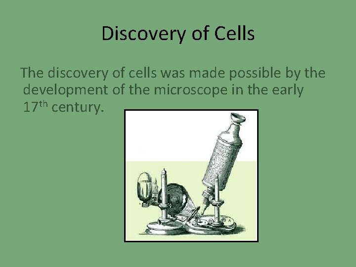 Discovery of Cells The discovery of cells was made possible by the development of