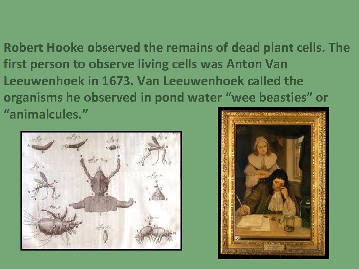 Robert Hooke observed the remains of dead plant cells. The first person to observe