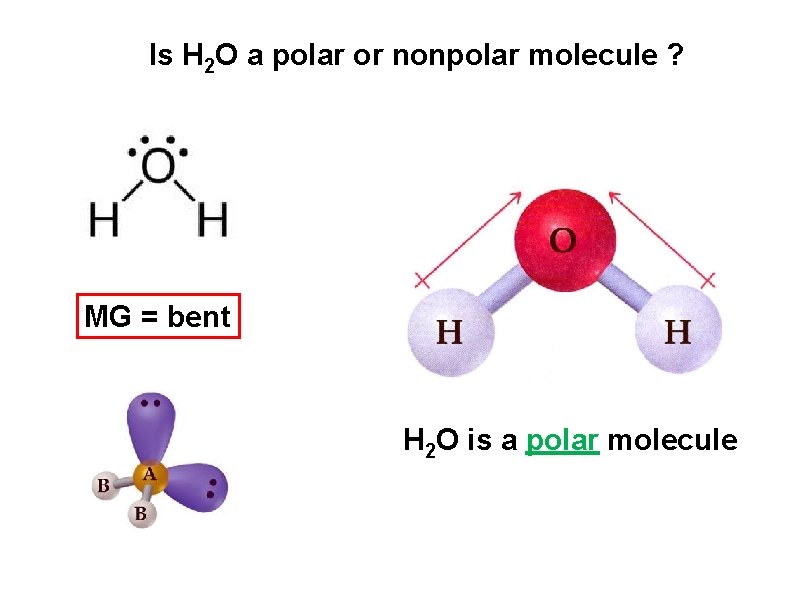 Is H 2 O a polar or nonpolar molecule ? MG = bent H