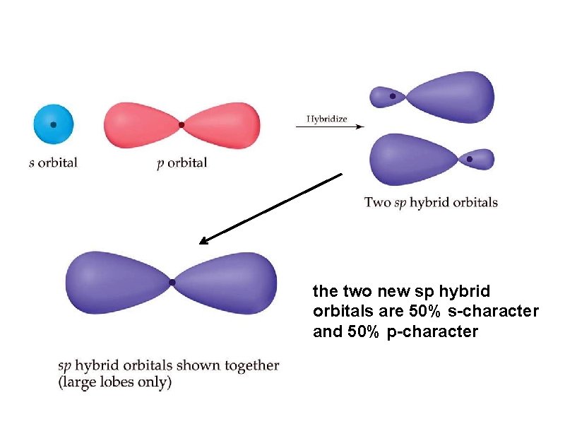 the two new sp hybrid orbitals are 50% s-character and 50% p-character 