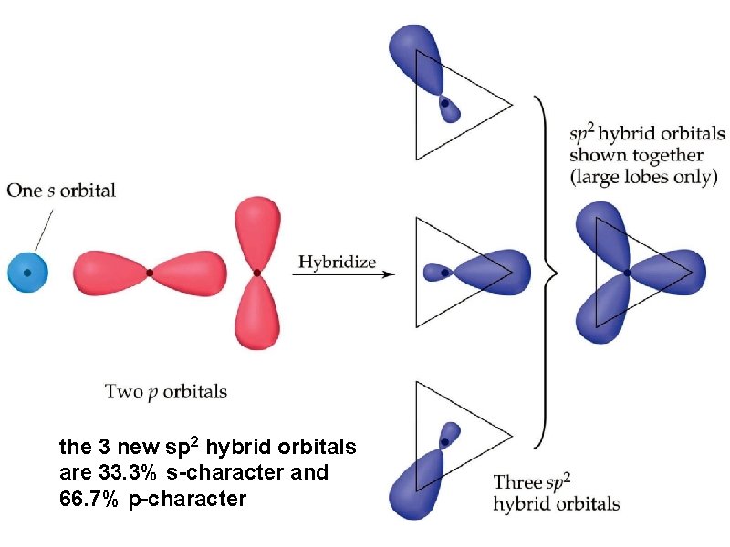 the 3 new sp 2 hybrid orbitals are 33. 3% s-character and 66. 7%