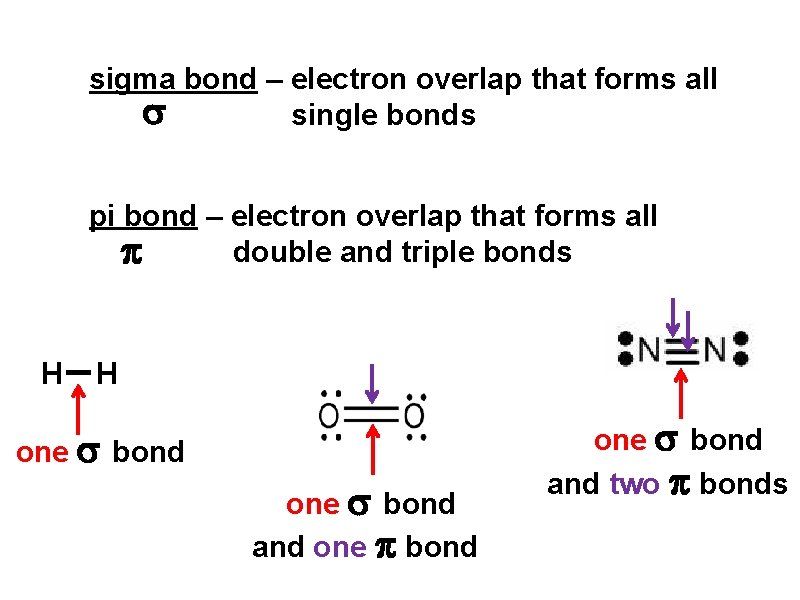 sigma bond – electron overlap that forms all single bonds pi bond – electron