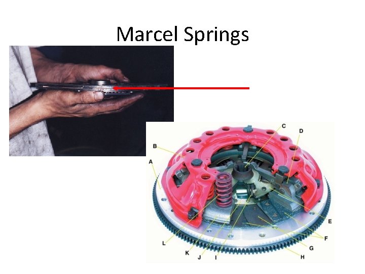 Marcel Springs 
