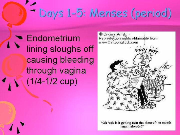 Days 1 -5: Menses (period) • Endometrium lining sloughs off causing bleeding through vagina