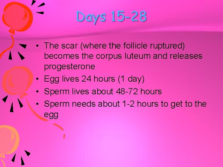 Days 15 -28 • The scar (where the follicle ruptured) becomes the corpus luteum