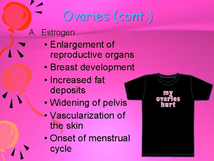 Ovaries (cont. ) A. Estrogen • Enlargement of reproductive organs • Breast development •