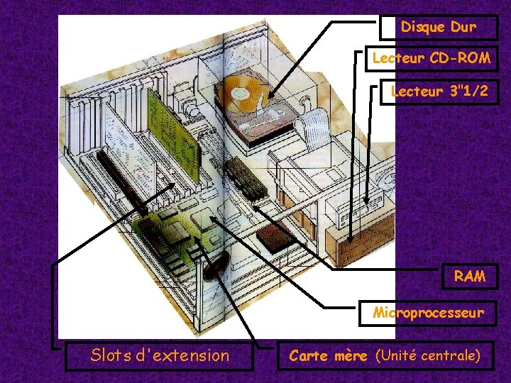 Disque Dur Lecteur CD-ROM Lecteur 3"1/2 RAM Microprocesseur Slots d'extension Carte mère (Unité centrale) Disque Dur Lecteur CD-ROM Lecteur 3"1/2 RAM Microprocesseur Slots d'extension Carte mère (Unité centrale)