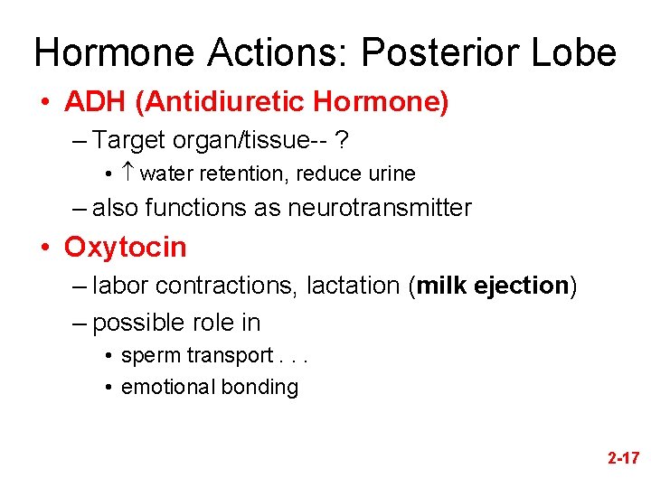Hormone Actions: Posterior Lobe • ADH (Antidiuretic Hormone) – Target organ/tissue-- ? • water