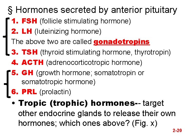 § Hormones secreted by anterior pituitary 1. FSH (follicle stimulating hormone) 2. LH (luteinizing