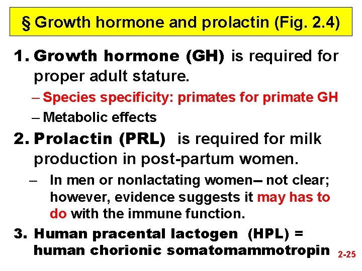 § Growth hormone and prolactin (Fig. 2. 4) 1. Growth hormone (GH) is required