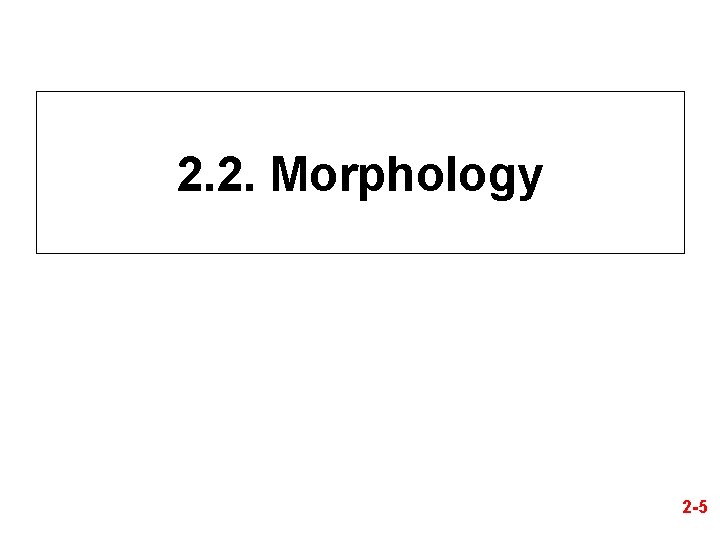 2. 2. Morphology 2 -5 