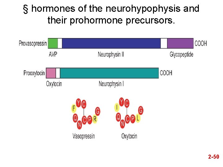§ hormones of the neurohypophysis and their prohormone precursors. 2 -50 