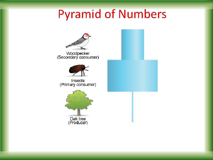 Pyramid of Numbers 