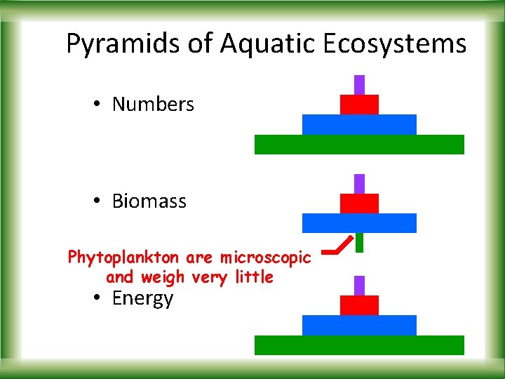 Pyramids of Aquatic Ecosystems • Numbers • Biomass Phytoplankton are microscopic and weigh very