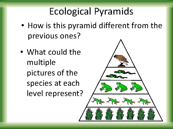Ecological Pyramids • How is this pyramid different from the previous ones? • What