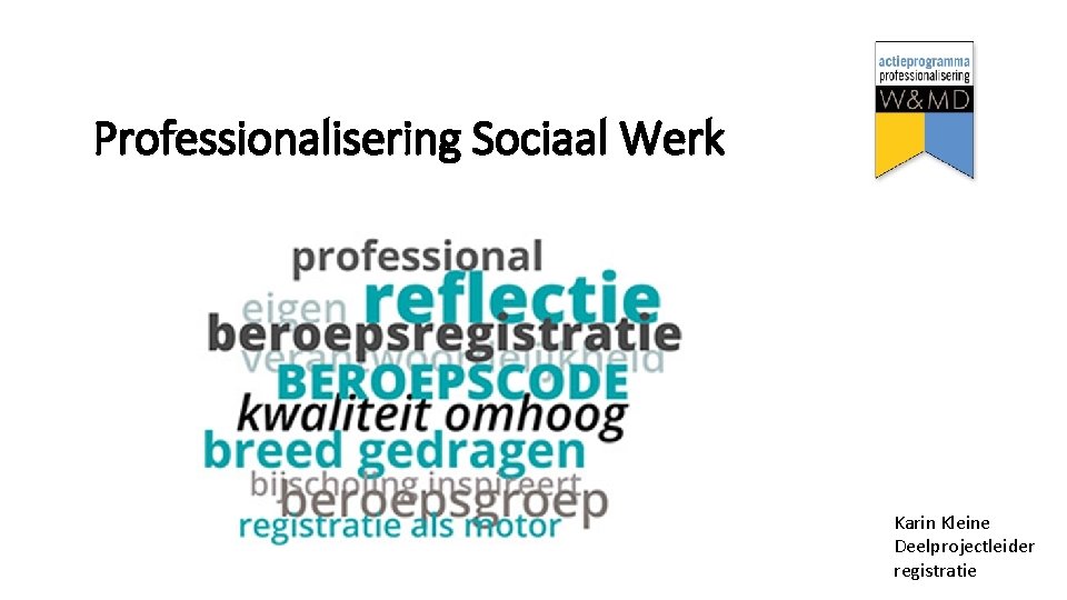 Professionalisering Sociaal Werk Karin Kleine Deelprojectleider registratie 