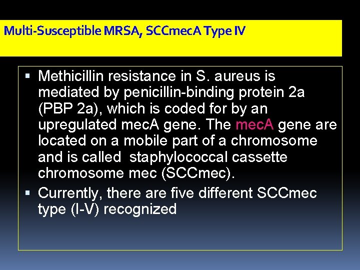 Multi-Susceptible MRSA, SCCmec. A Type IV Methicillin resistance in S. aureus is mediated by