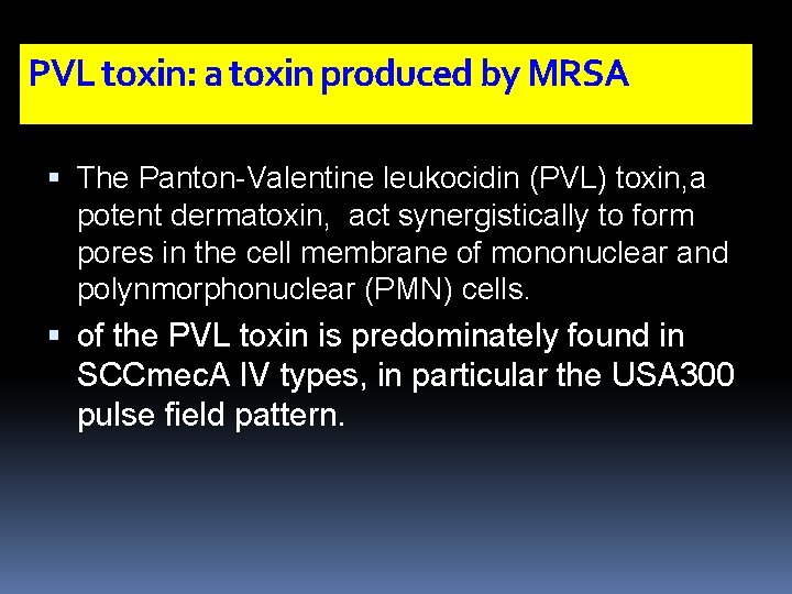 PVL toxin: a toxin produced by MRSA The Panton-Valentine leukocidin (PVL) toxin, a potent
