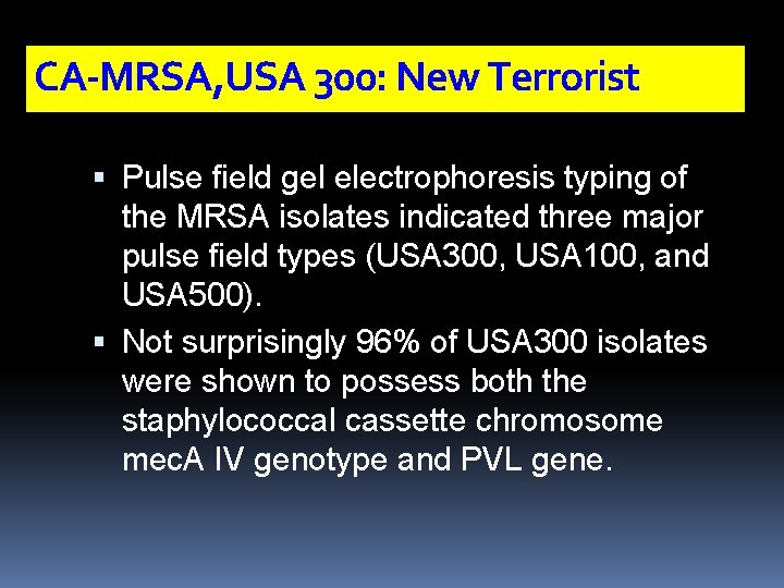 CA-MRSA, USA 300: New Terrorist Pulse field gel electrophoresis typing of the MRSA isolates