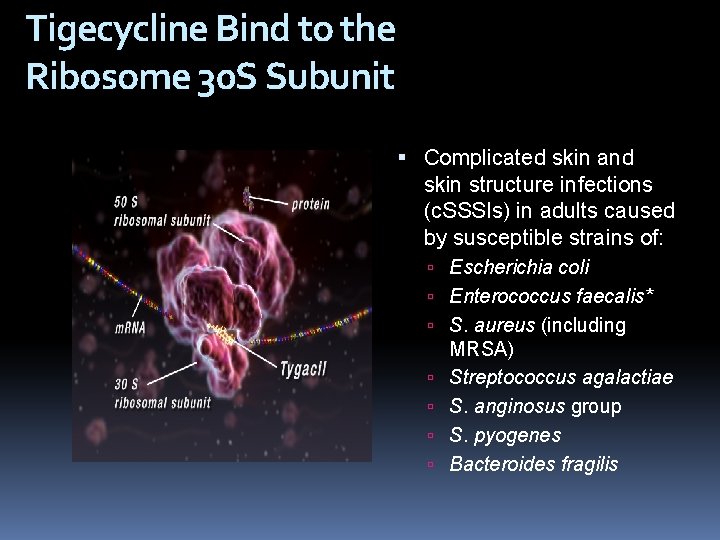 Tigecycline Bind to the Ribosome 30 S Subunit Complicated skin and skin structure infections