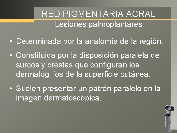 RED PIGMENTARIA ACRAL Lesiones palmoplantares • Determinada por la anatomía de la región. •
