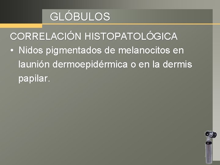 GLÓBULOS CORRELACIÓN HISTOPATOLÓGICA • Nidos pigmentados de melanocitos en launión dermoepidérmica o en la