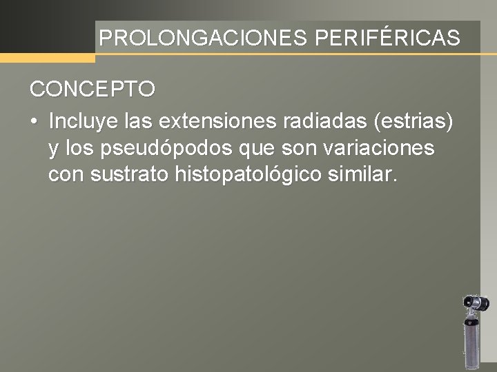 PROLONGACIONES PERIFÉRICAS CONCEPTO • Incluye las extensiones radiadas (estrias) y los pseudópodos que son